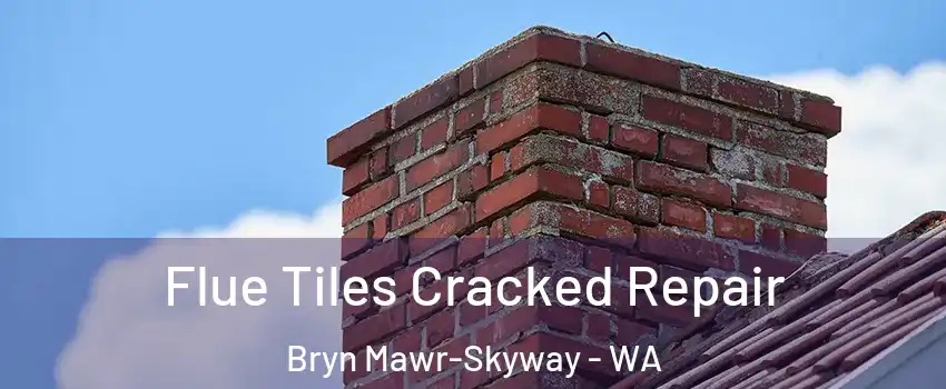  Flue Tiles Cracked Repair Bryn Mawr-Skyway - WA