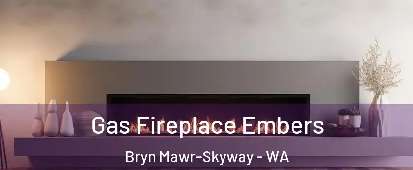  Gas Fireplace Embers Bryn Mawr-Skyway - WA