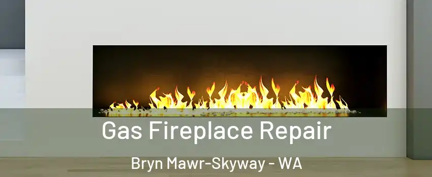  Gas Fireplace Repair Bryn Mawr-Skyway - WA