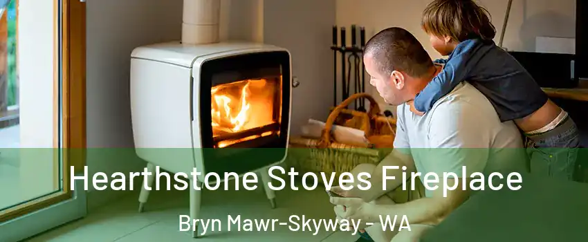  Hearthstone Stoves Fireplace Bryn Mawr-Skyway - WA