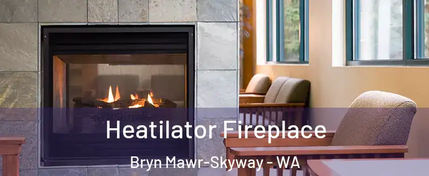  Heatilator Fireplace Bryn Mawr-Skyway - WA