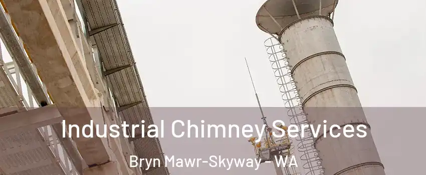  Industrial Chimney Services Bryn Mawr-Skyway - WA