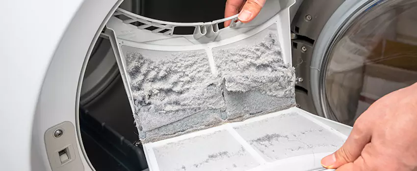 Best Dryer Lint Removal Company in Bryn Mawr-Skyway, Washington
