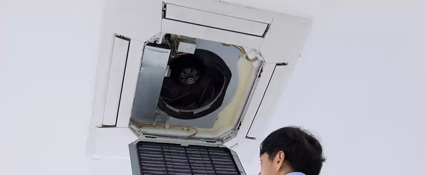 Benefits of Professional Air Duct Cleaning in Bryn Mawr-Skyway, Washington