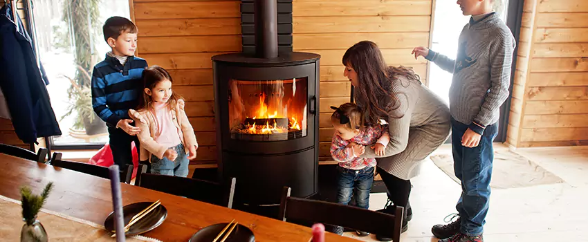 Jøtul Gas Fireplace Inspection Service in Bryn Mawr-Skyway, Washington