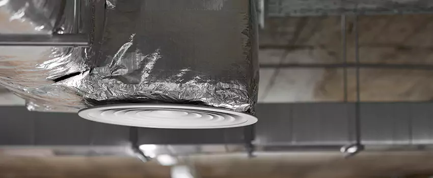 Signs of Dust Accumulation in Vents in Bryn Mawr-Skyway, WA