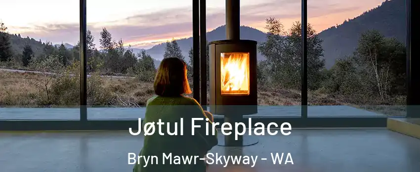  Jøtul Fireplace Bryn Mawr-Skyway - WA