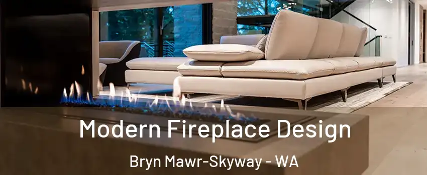  Modern Fireplace Design Bryn Mawr-Skyway - WA