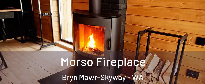  Morso Fireplace Bryn Mawr-Skyway - WA
