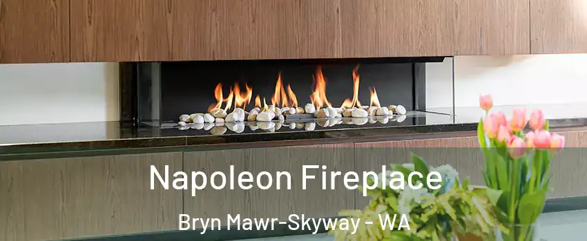  Napoleon Fireplace Bryn Mawr-Skyway - WA