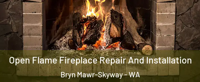  Open Flame Fireplace Repair And Installation Bryn Mawr-Skyway - WA