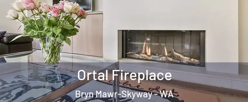 Ortal Fireplace Bryn Mawr-Skyway - WA
