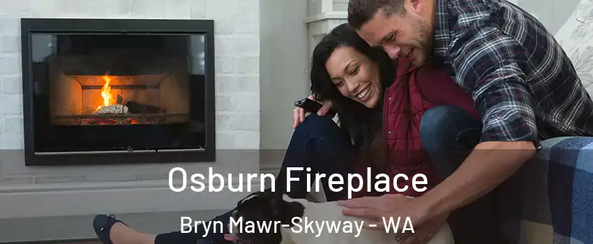  Osburn Fireplace Bryn Mawr-Skyway - WA