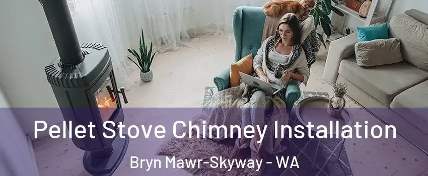  Pellet Stove Chimney Installation Bryn Mawr-Skyway - WA