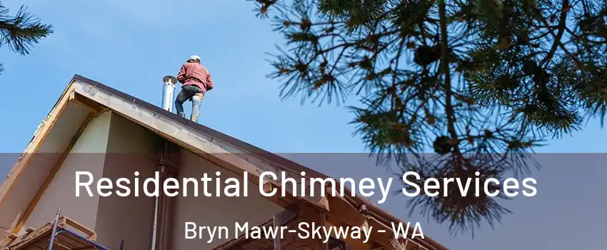  Residential Chimney Services Bryn Mawr-Skyway - WA