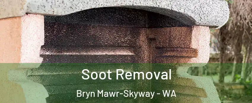  Soot Removal Bryn Mawr-Skyway - WA