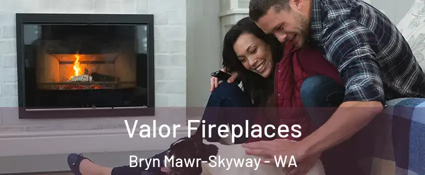  Valor Fireplaces Bryn Mawr-Skyway - WA