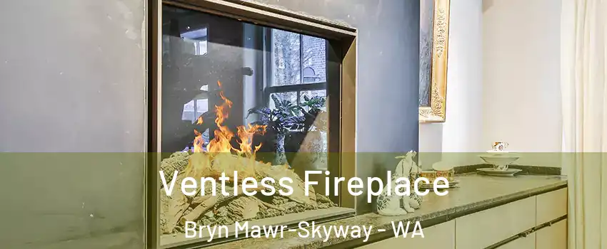  Ventless Fireplace Bryn Mawr-Skyway - WA
