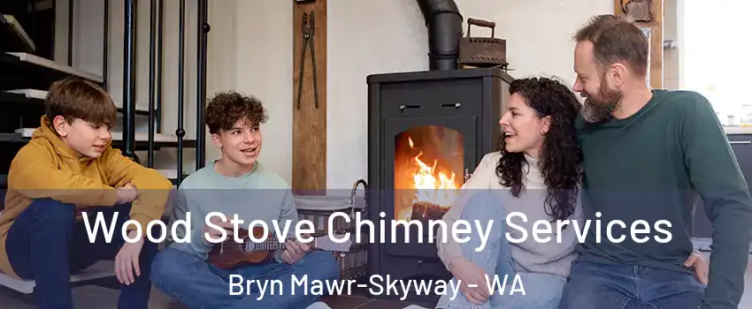  Wood Stove Chimney Services Bryn Mawr-Skyway - WA