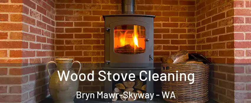  Wood Stove Cleaning Bryn Mawr-Skyway - WA