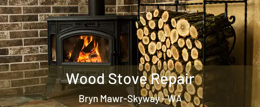  Wood Stove Repair Bryn Mawr-Skyway - WA